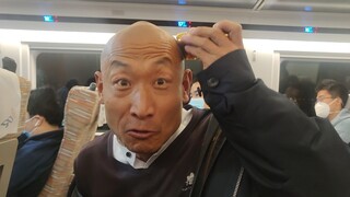 偶遇朝阳冬泳怪鸽