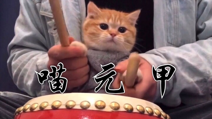 Jay Chou - 'Huo Yuanjia' Covered By A Cute Cat