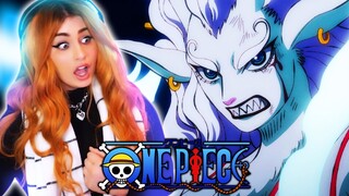 YAMATO’S DEVIL FRUIT! One Piece Episode 1041 Reaction + Review!