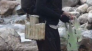 cast net fishing in Nepal | himalayan trout fishing | asala fishing |