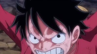 Kaido akhirnya sadar setelah pertarungan yang begitu lama, dan status Kaido sebagai salah satu dari 