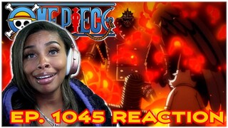 WE NEED HELP!!!! | ONE PIECE EPISODE 1045 REACTION