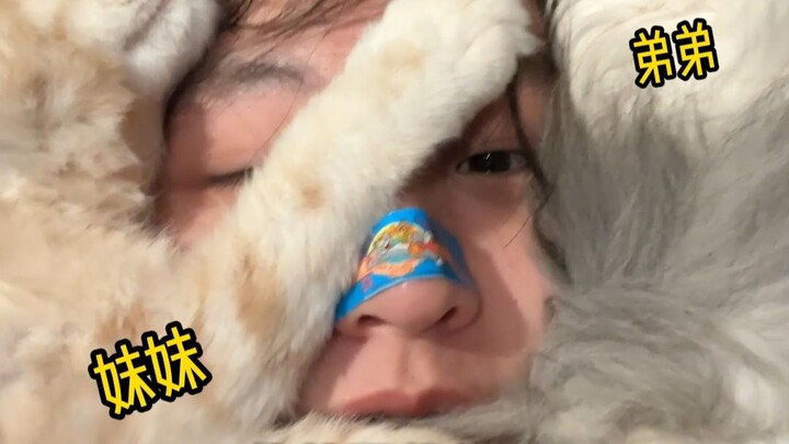 “Only After You Get a Cat Do You Realize There’s a Difference Between Males and Females”