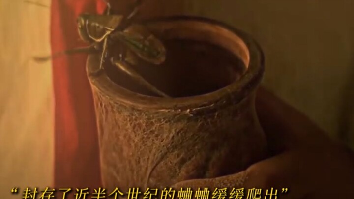 “China’s Last Emperor”