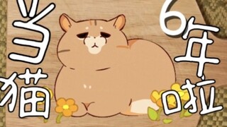 How do you know I have a big cake to eat?