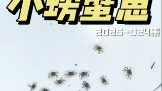 螃蟹花变成迷你小螃蟹了。 #锦蟹农 #螃蟹幼崽 #螃蟹幼崽