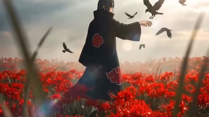 red love flowers 🌺 Hatake Hitachi