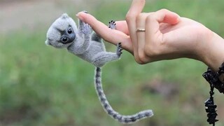 10 Cutest Exotic Animals You Can Own as Pets