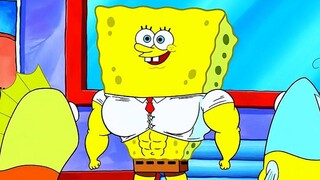 Animation commentary: The opening of the Shrimp King Gym, SpongeBob has developed a body of muscular