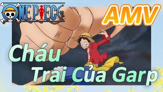 [Đảo Hải Tặc] AMV | Cháu Trai Của Garp