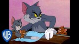 Tom & Jerry in italiano 🇮🇹 | I Tuoi Amici-Nemici Più Famosi | @WBKidsItaliano​