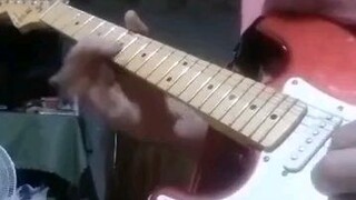 Paranoid