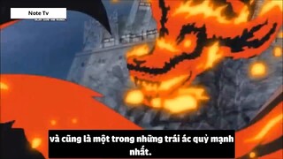 Top 10 Trái Logia Mạnh Nhất One Piece #26- 12
