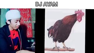 meme kedipan matahari