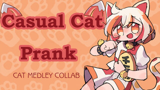 Cat Medley Collab