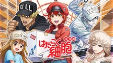 [1] Hataraku Saibou (Cells at Work!) DUB INDO