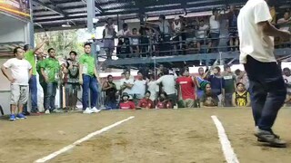 Grey win