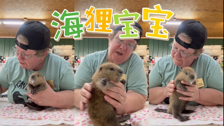 In case you haven’t seen the little beaver drinking milk yet.