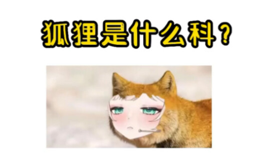 【Gua Tong】Damn it...