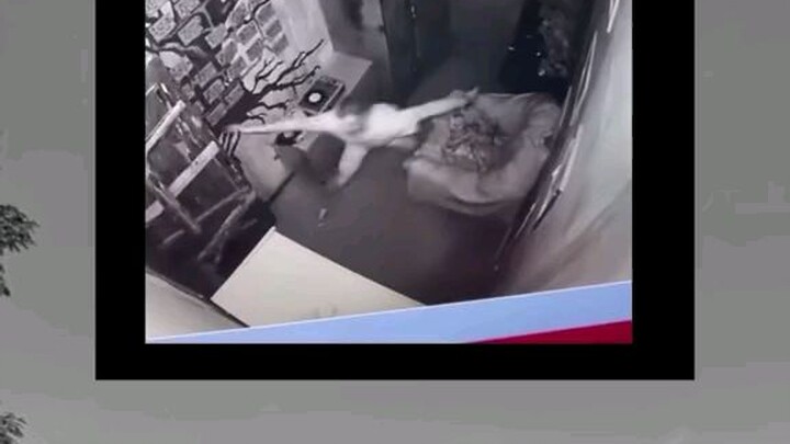 kung ang killer ang papatay sayo....ganto ka ba 🤣🤣