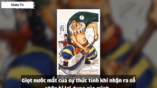Top 8 Cặp Đôi Được Yêu Thích Trong One Piece #5- 2