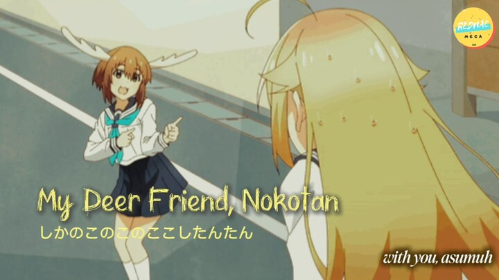 [AMV] oUr Sweetest Frined, My Deer Friend Nokotan しかのこのこのここしたんたん