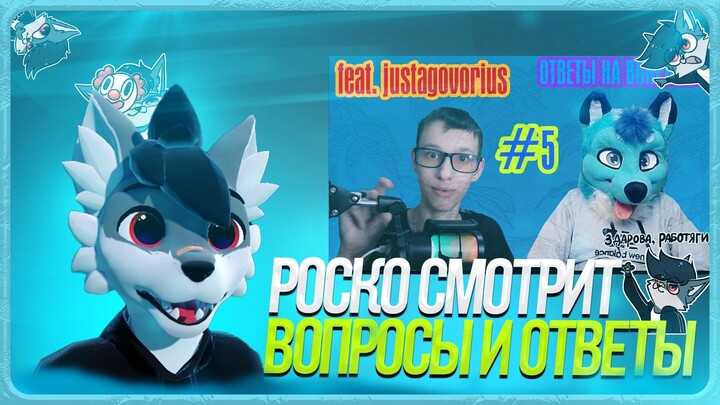 🐺 Роско смотрит Leo the fox - Ответы на вопросы №5 (feet.justagovorius & Leo the fox) Иметь сову...