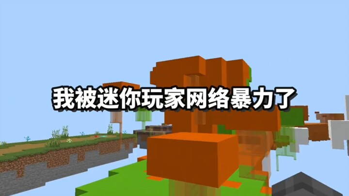 A Retrospective of the First Episode: MC Player Being Trolled Online