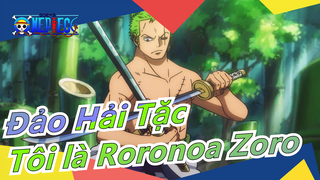 [Đảo Hải Tặc] Tôi là Roronoa Zoro, tôi sẽ trở thành đại kiếm hào số 1 trên thế giới này