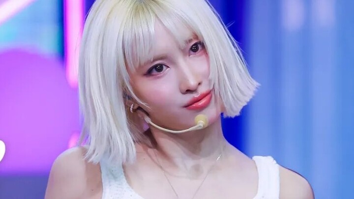 TWICE MOMO "Strategy" 4K แนวตั้ง ถ่ายโดยตรง Music Bank 241206