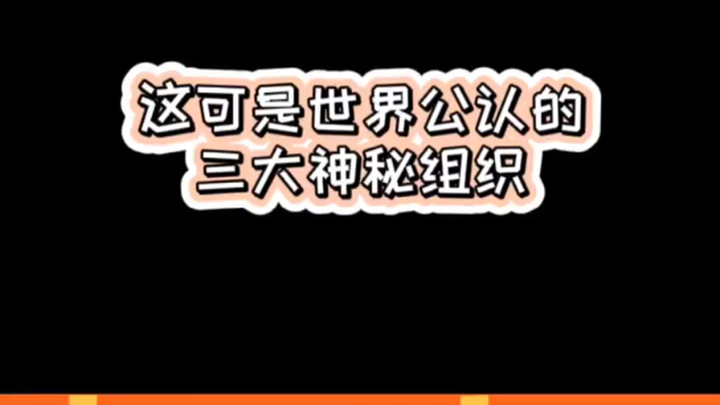 The three mysterious organizations from China, Japan, and South Korea—this level of support would ma