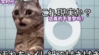 【Video Asli】Tentang kebiasaan saya yang sering ngompol~ Bagian SMP | Meme Kucing