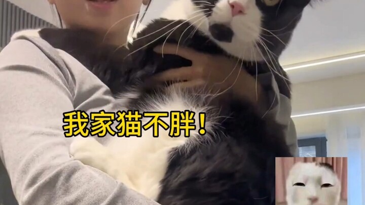 นี่แหละคือฟิลเตอร์แม่แท้ๆ ใช่ไหม?