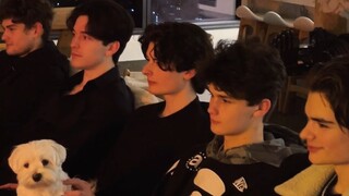 我好像真的嫁到了吸血鬼家族……