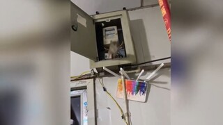 จับหน
