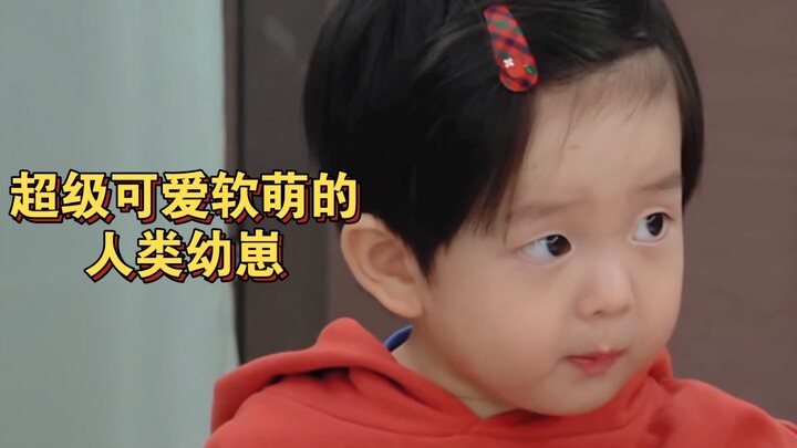 Trời ơi! Trên đời này sao lại có một cậu bé đáng yêu, mềm mại đến thế chứ! Cảm giác Tiểu Bảo giống h