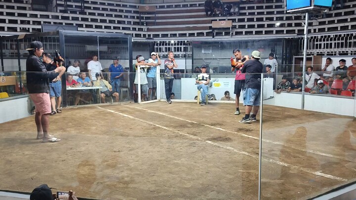 loss boston lightside