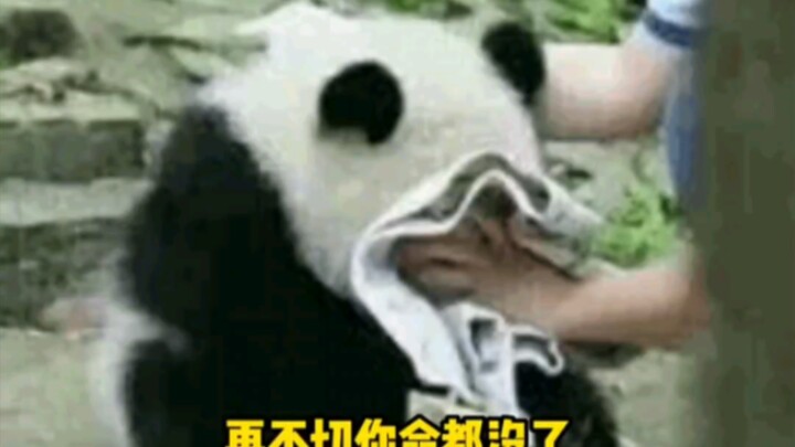 Lần đầu tiên gặp người còn tặng quà “chia tay” trước khi ly hôn, đúng là cái trọng lượng của món quà