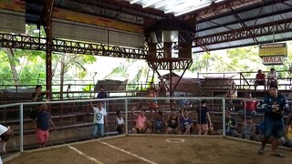 1st fight panalo po #MWR Oslob Cockpit Arena