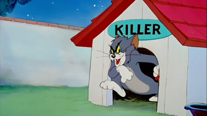 What do you want to do?