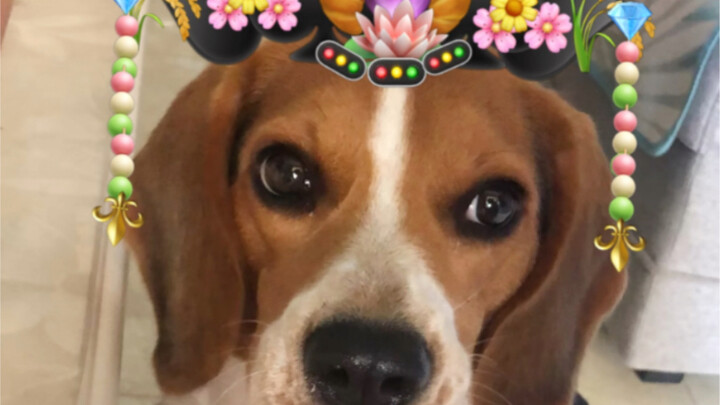 أنا السيدة وولا لا من عشيرة يي سوو