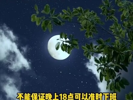 Do kittens have a sense of time?