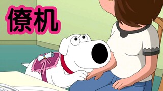 Brian 给 quagmire 当僚机狗