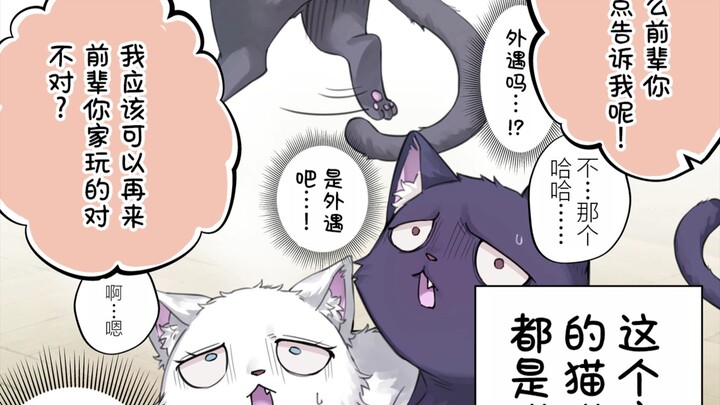 “The Useless Three-Kilometer Run”