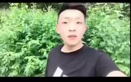 Langit Langit Kehidupan Abadi