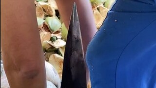 Ngành công nghiệp đặc biệt của Hải Nam là “bóc vỏ dừa già” để làm dầu dừa. Chúng ta hãy cùng xem dầu