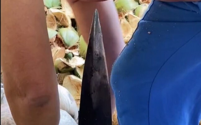 海南特殊行业“扒老椰子皮”做椰子油，一起看看椰子油是怎样练成的。