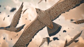 the falcon