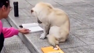 "Senior, could you help me solve this problem?"