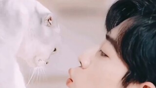 [Xiao Zhan] Nut: Katakan berapa banyak kucing yang kamu punya di luar!